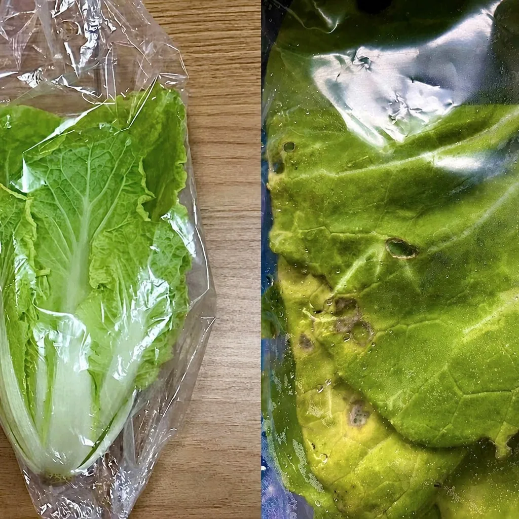 Antimicrobial & fresh